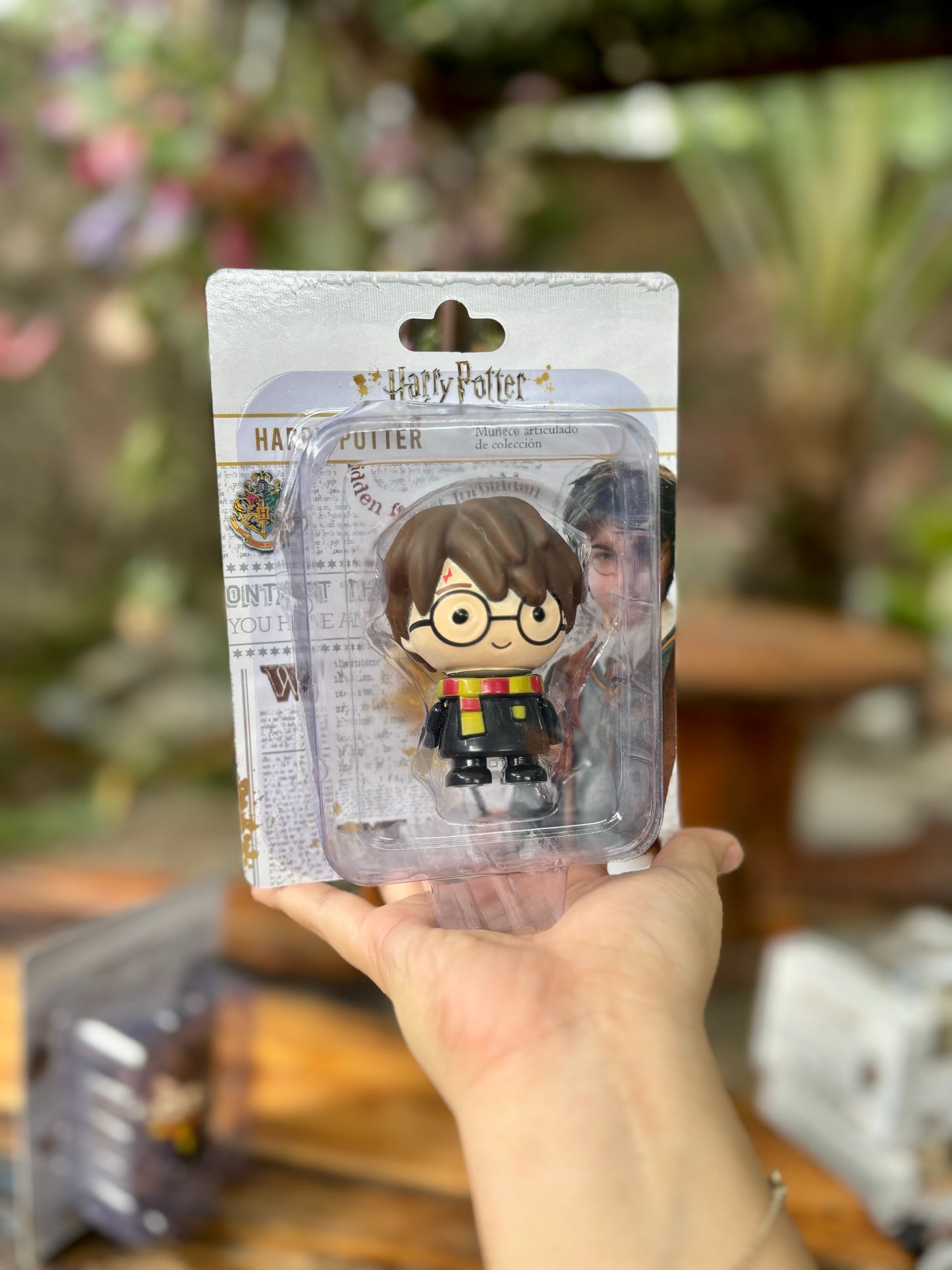 Figura pequeña Harry potter