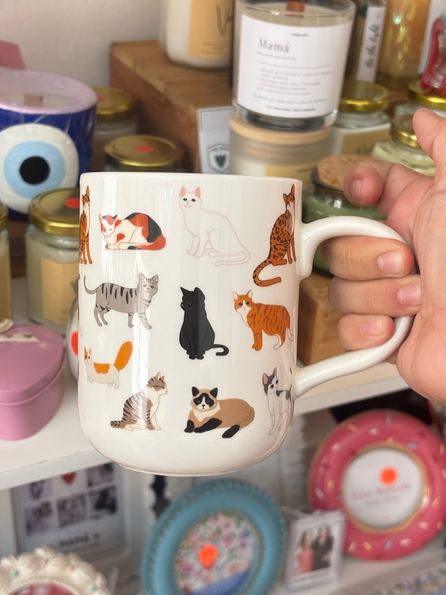 Taza de gatos