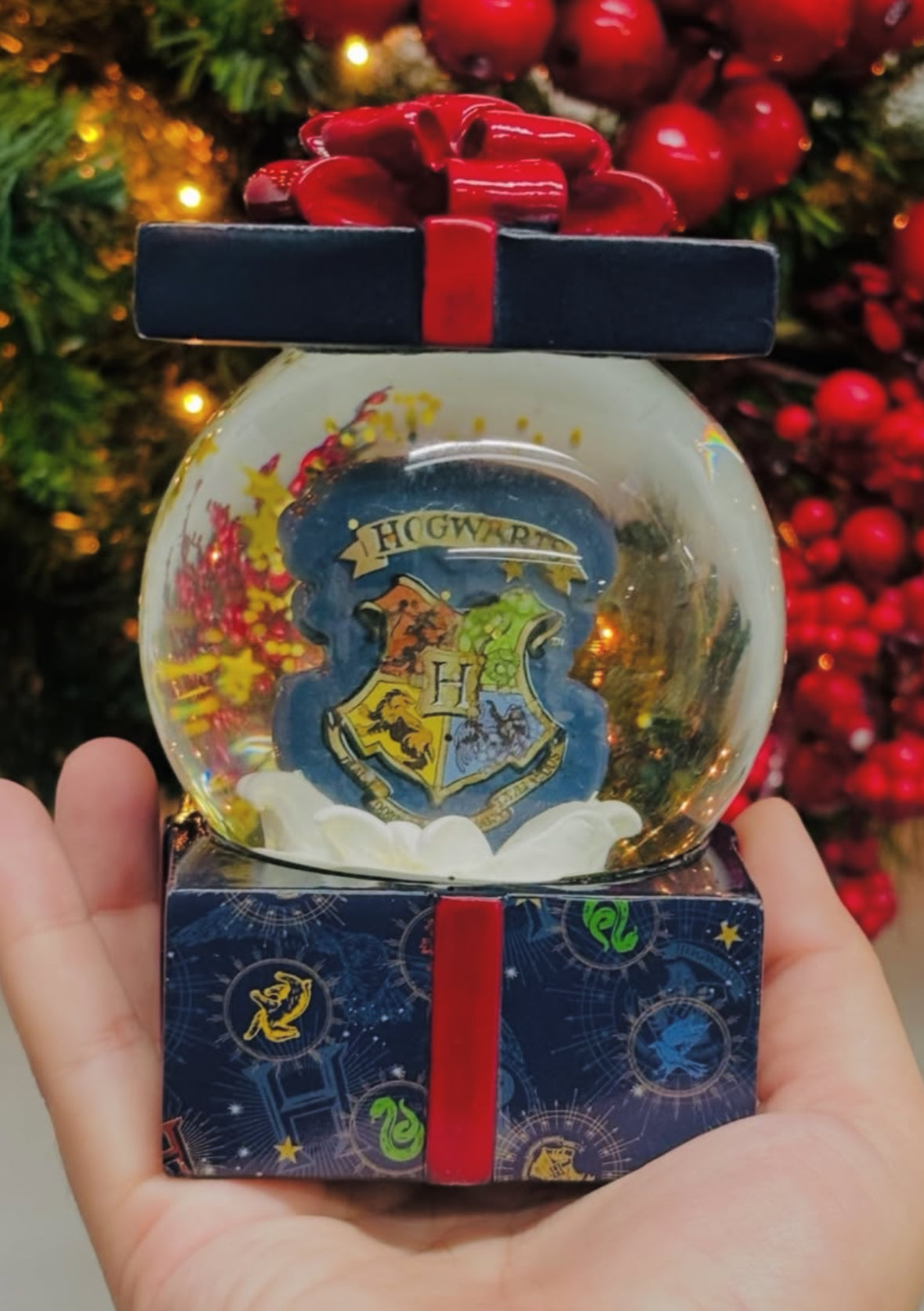 Globo de agua Harry Potter